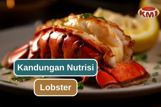 Inilah Nutrisi Yang Terkandung Pada Lobster 